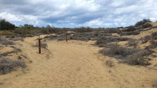 2023-GC--Mapalomas dunas-S123-015.jpg